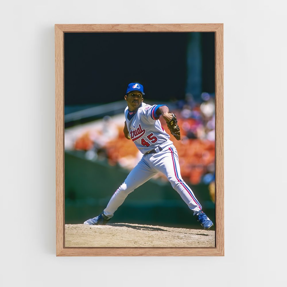 Poster Pedro baseball (vue 4)